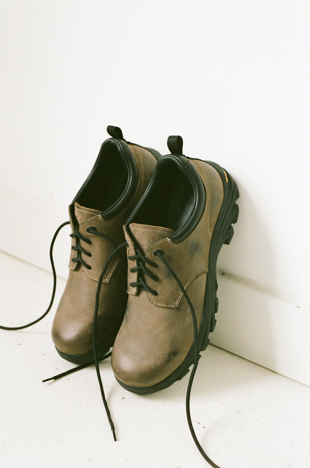 CY × Paracia Collab