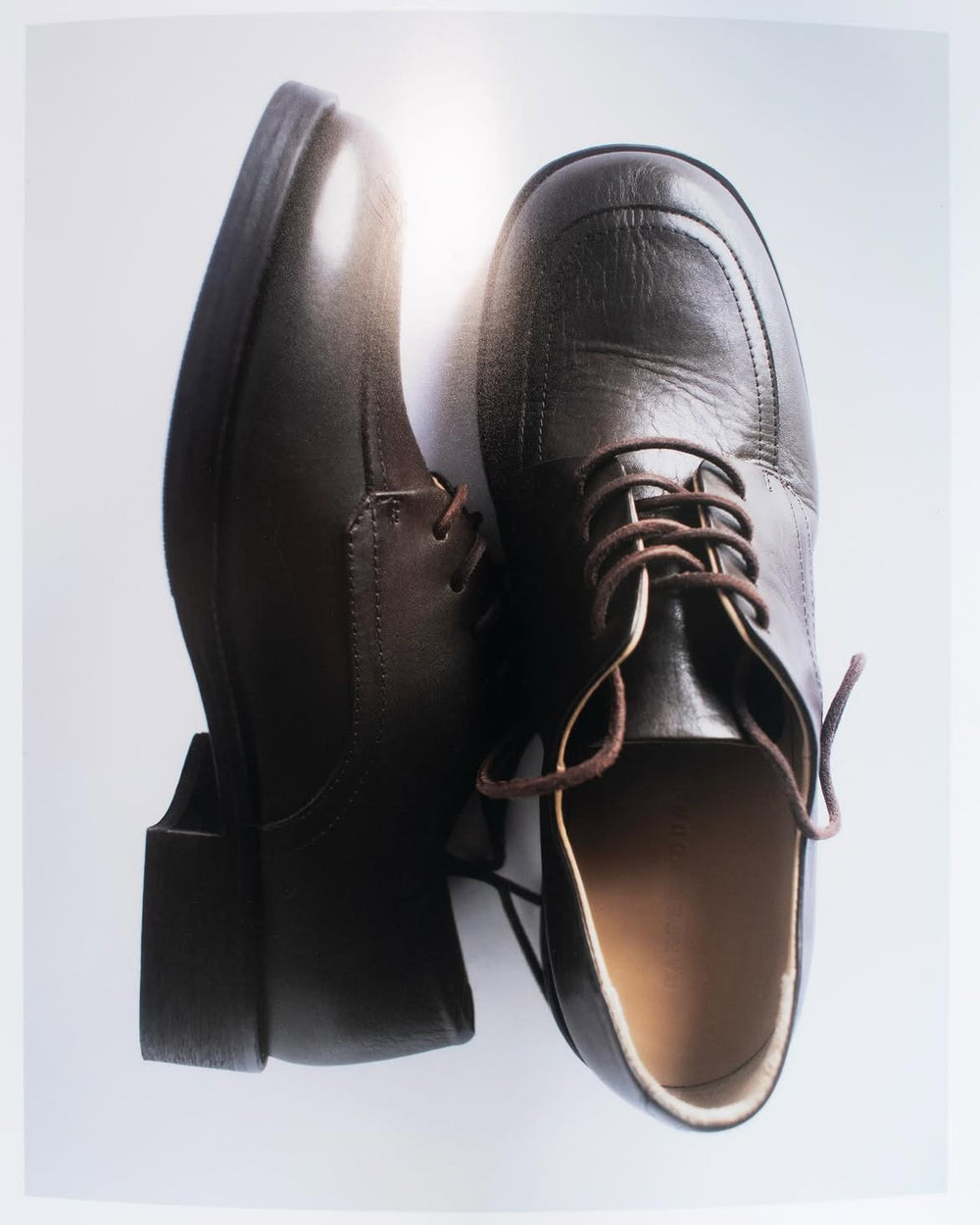 CY × Paracia Collab